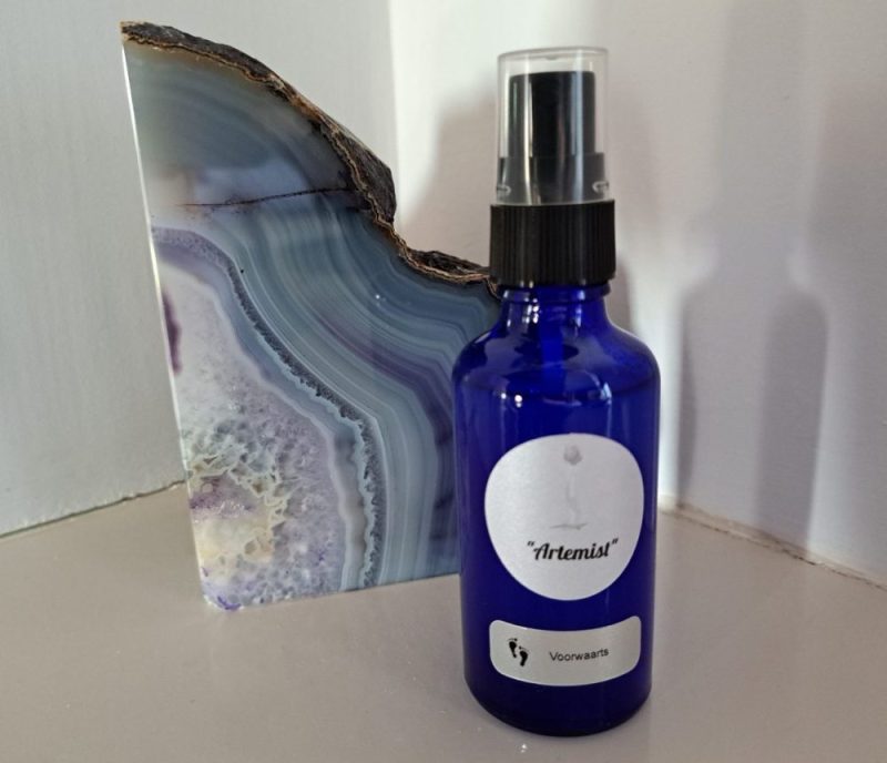 Artemist Voorwaarts